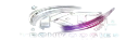Logo White